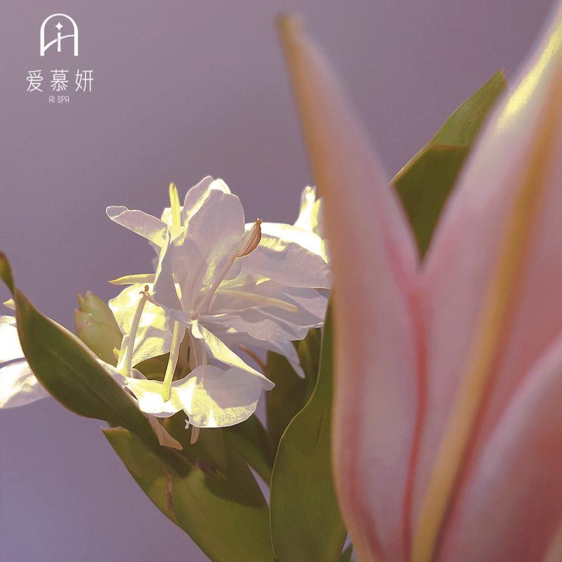 三乡招聘 