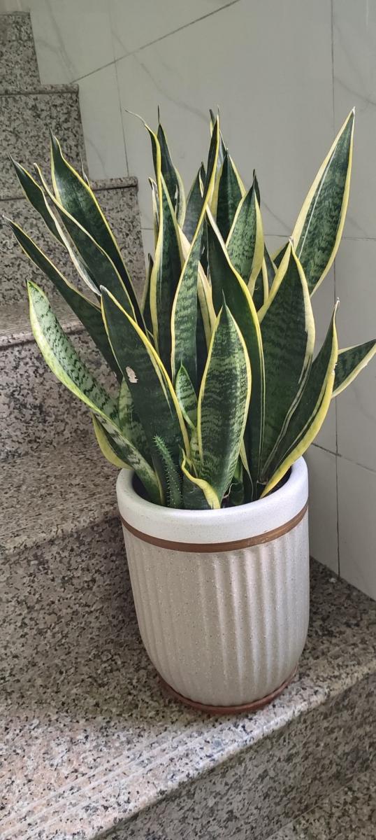 闲置出售 