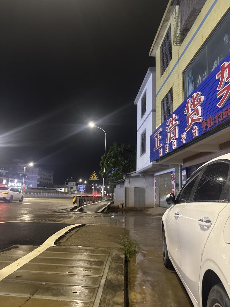宠物找寻 