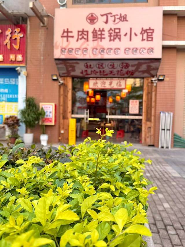 三乡招聘 