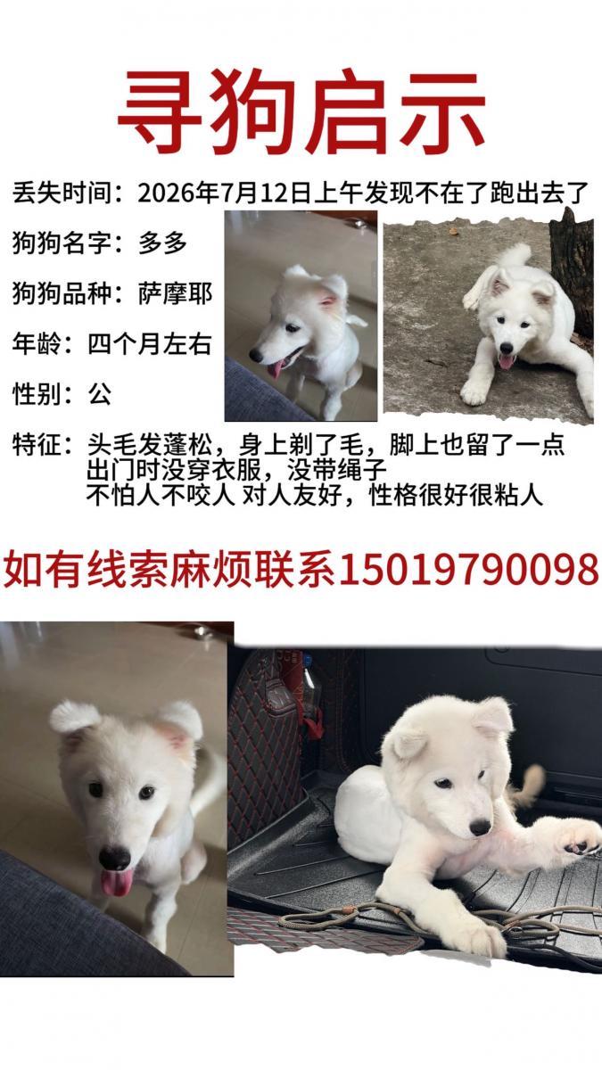 宠物找寻 