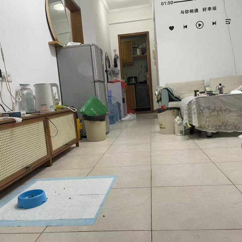 房屋出租 