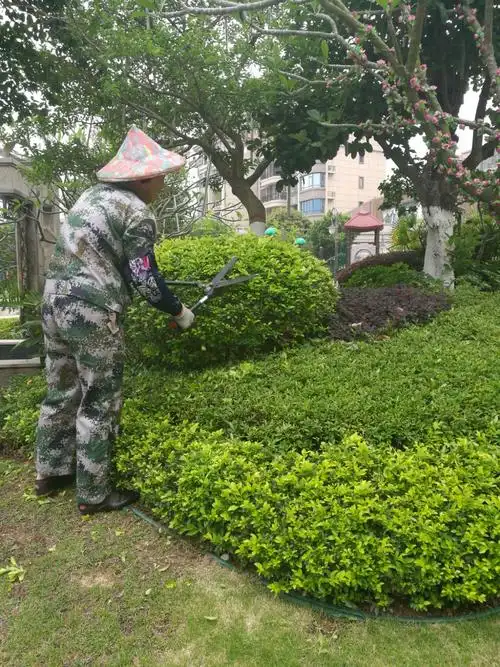 生活服务 
