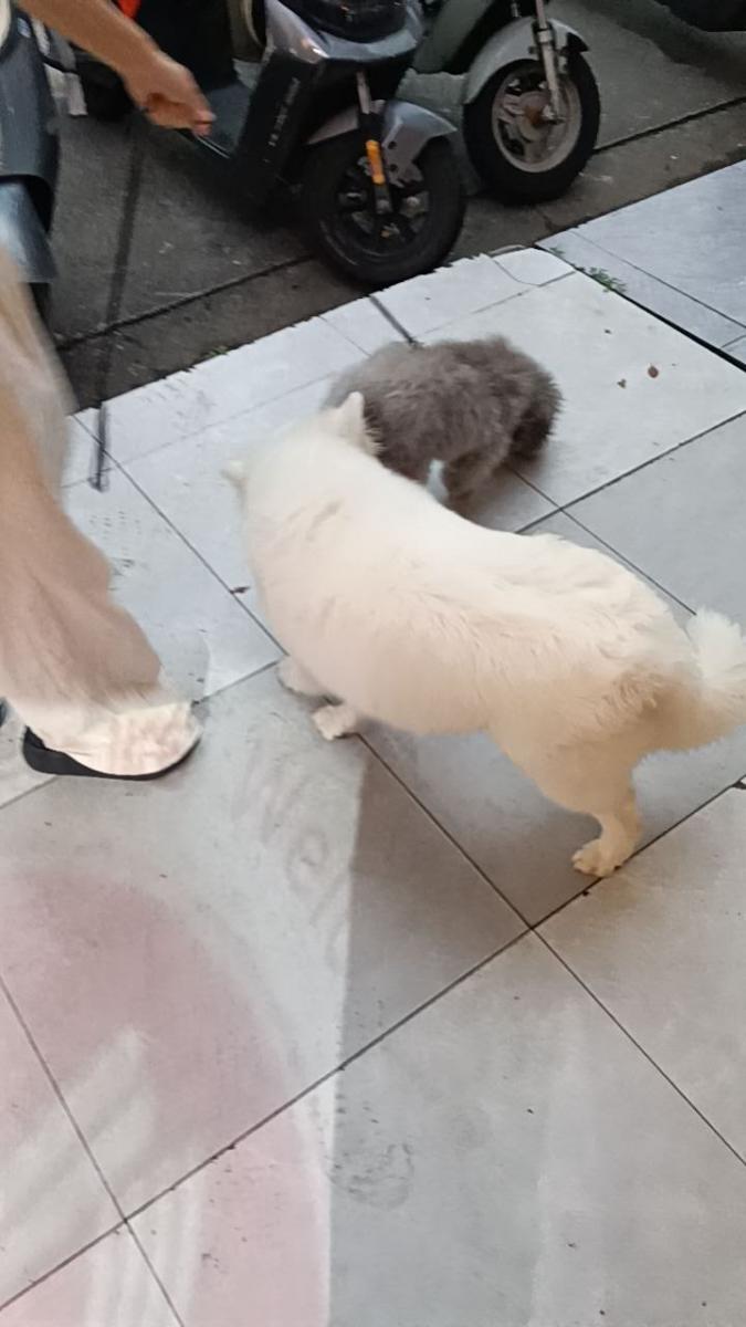 失物招领 