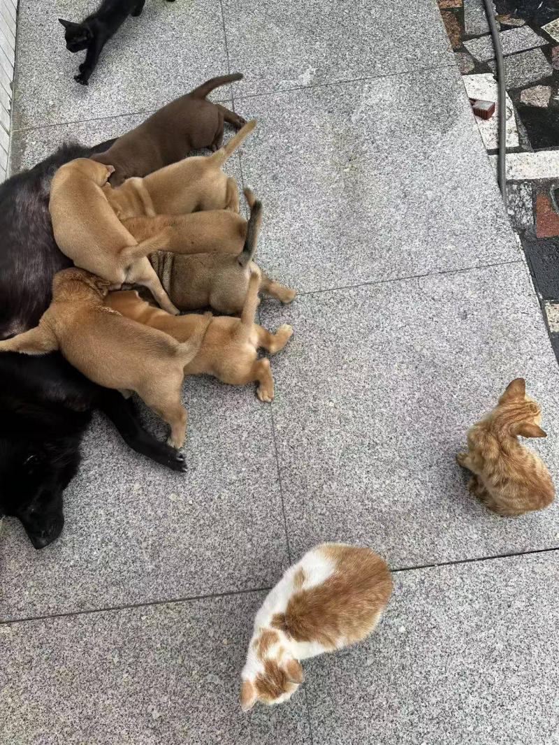 闲置出售 