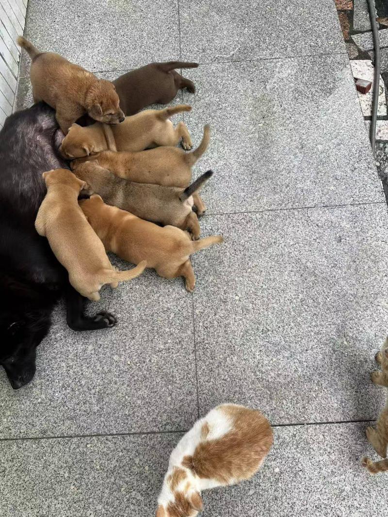 闲置出售 
