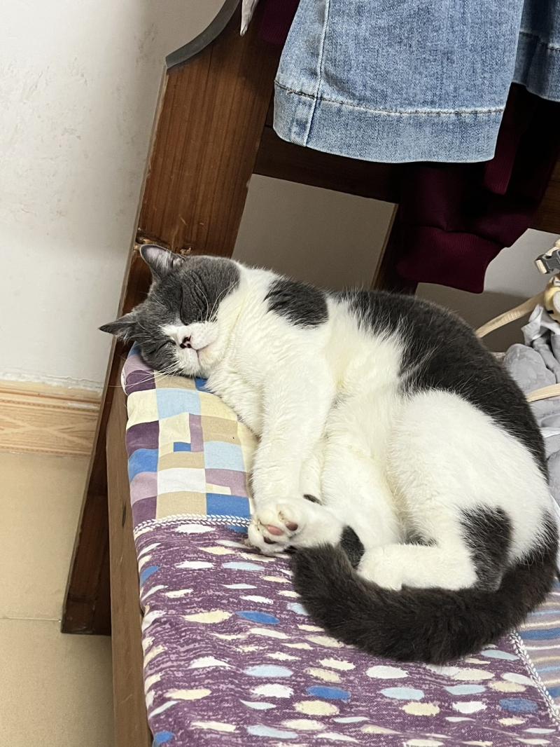 闲置出售 