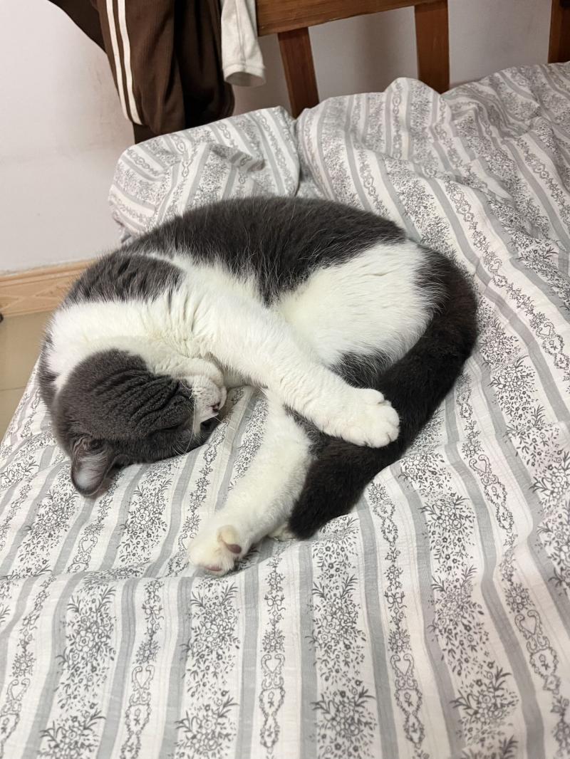 闲置出售 