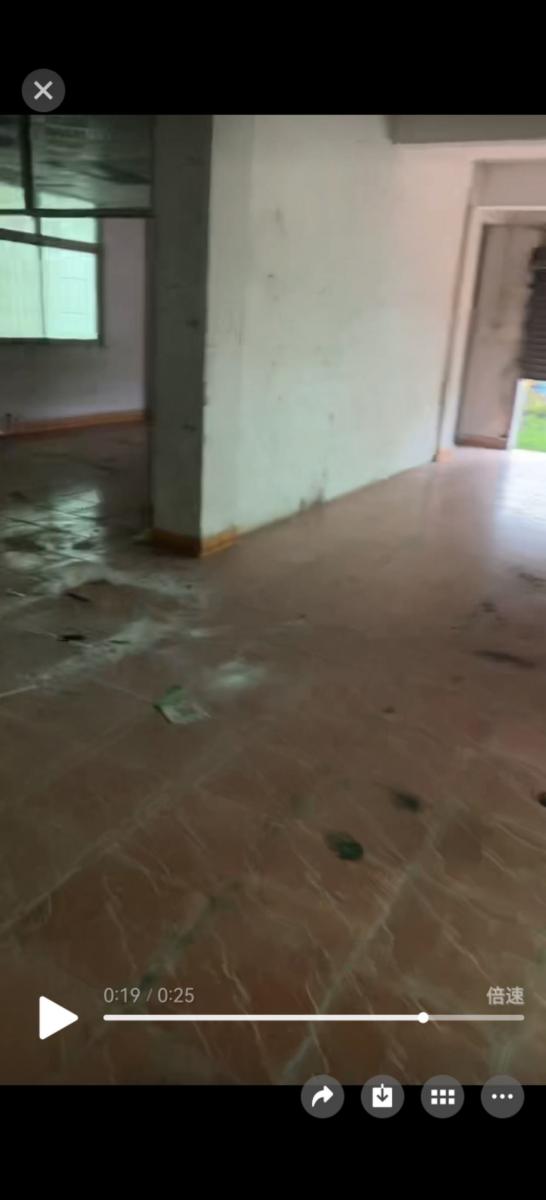 房屋出租 