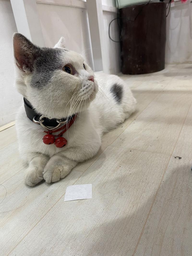 失物招领 