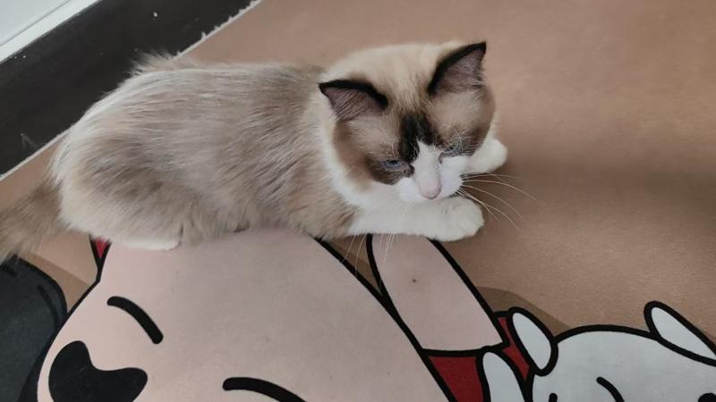 闲置出售 