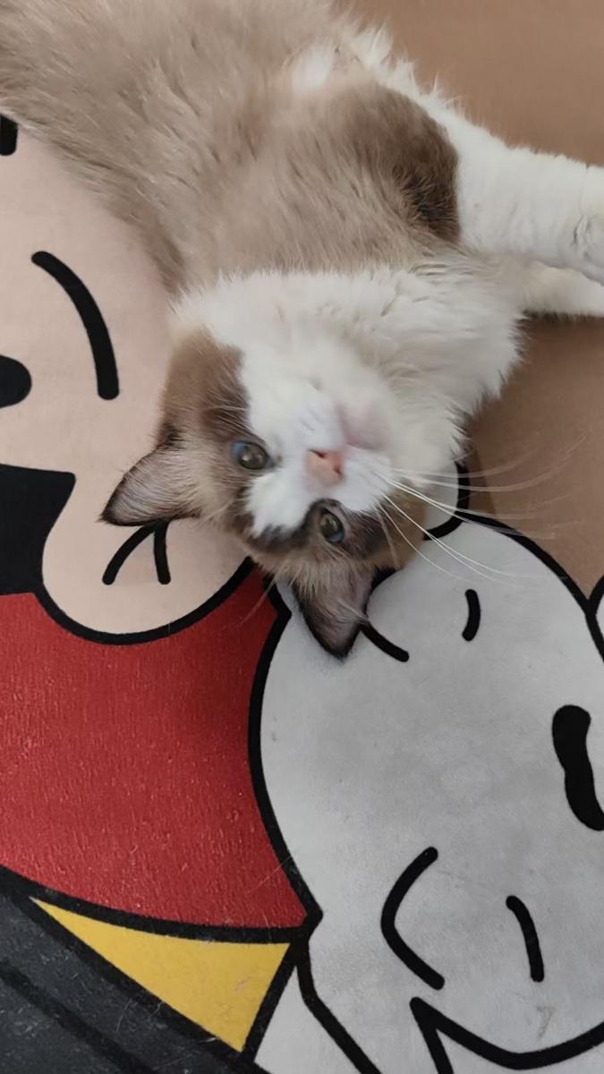 闲置出售 