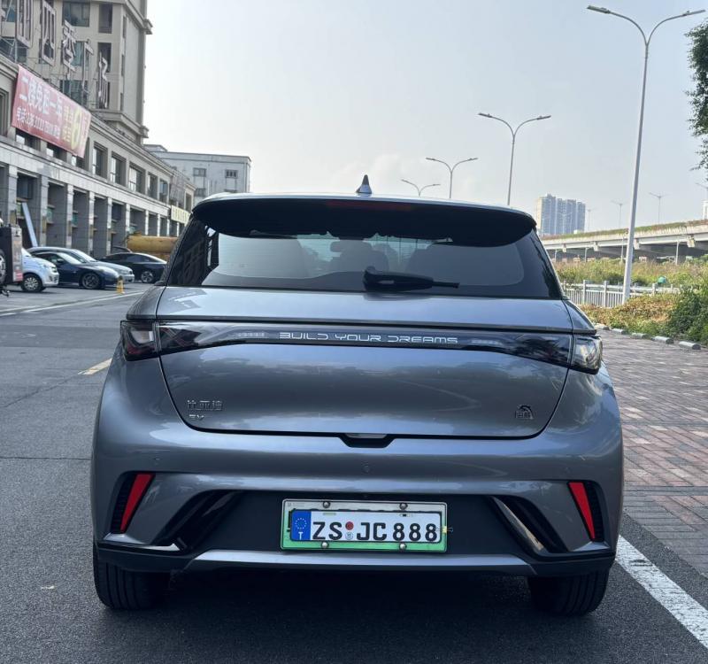 新能源二手车 
